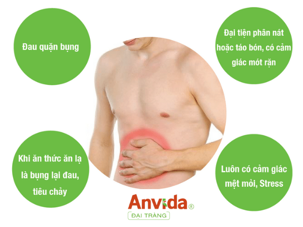 Anvida đại tràng